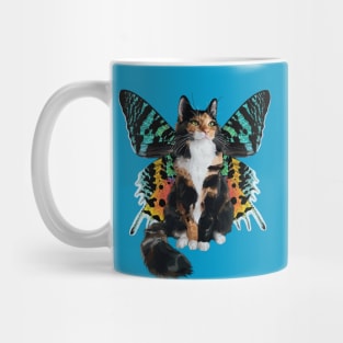 Longhair Calico Sunset Moth Flitter Kitty Mug